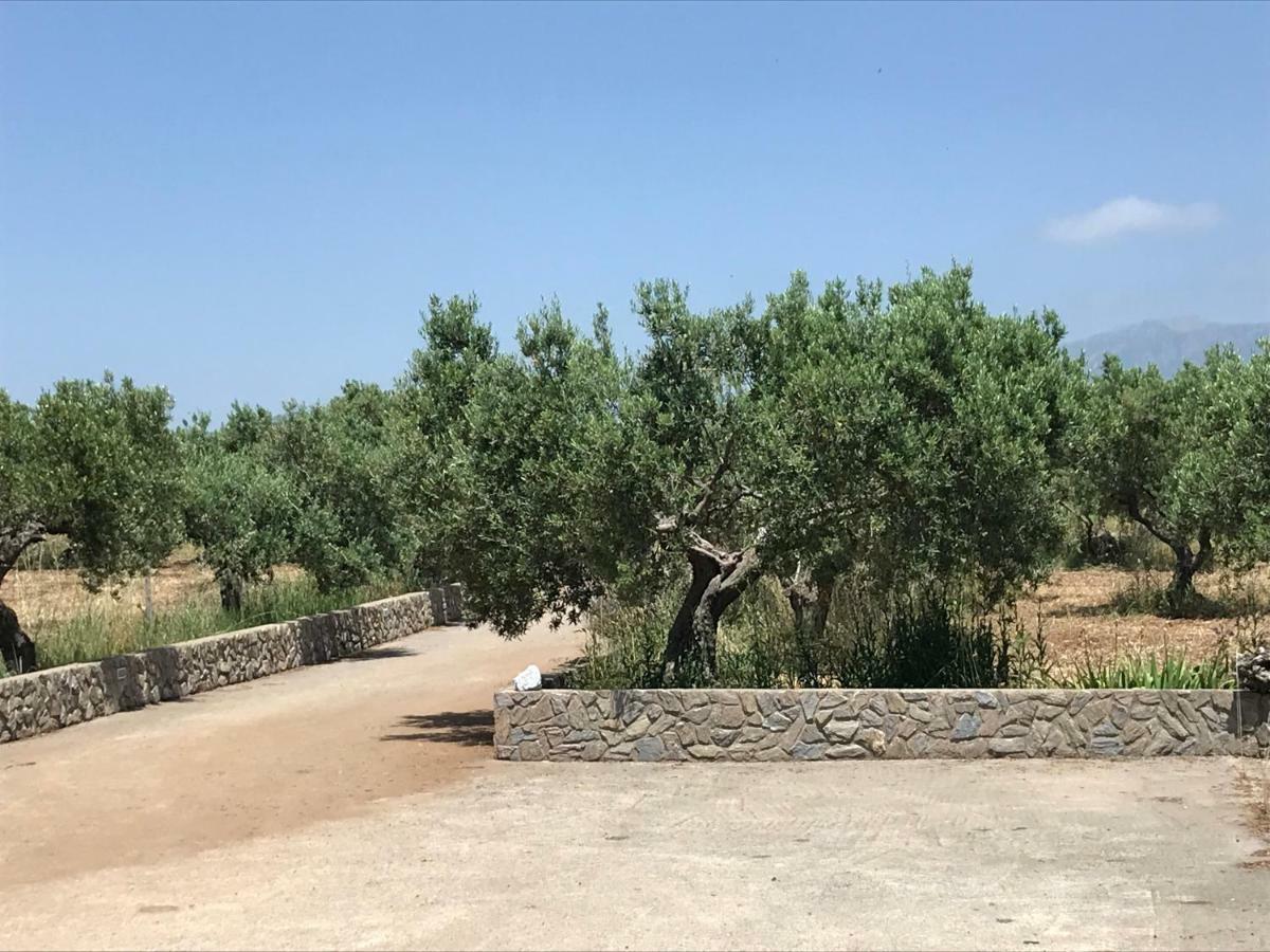 Villa Tenuta Avolicino à Santa Domenica Talao Extérieur photo