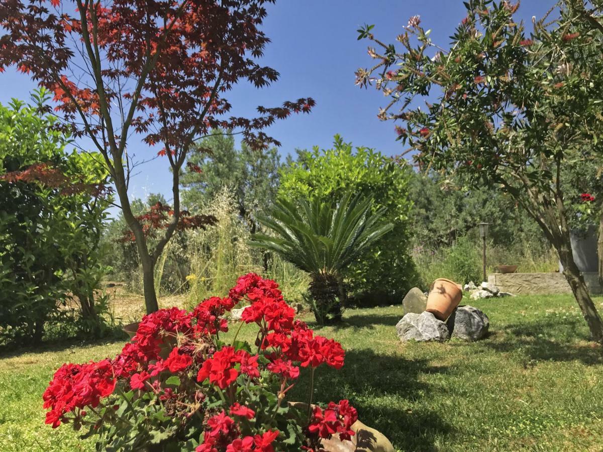 Villa Tenuta Avolicino à Santa Domenica Talao Extérieur photo