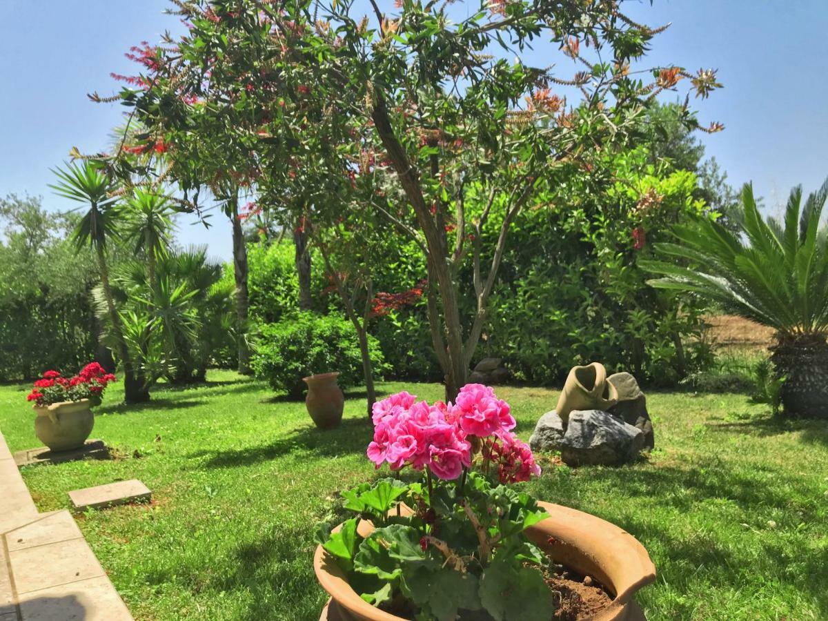 Villa Tenuta Avolicino à Santa Domenica Talao Extérieur photo